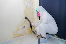 Mold Removal for HVAC Installations in Champion Heights, OH